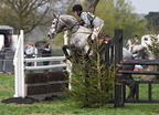 Ardlingly Horses 88-19-04-2009