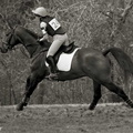 Ardingly Horses 02 18-04-2009