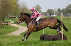 Ardingly Horses 104-18-04-2009