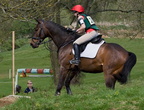 Ardingly Horses 107-18-04-2009