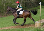 Ardingly Horses 108-18-04-2009