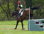 Ardingly Horses 111-18-04-2009