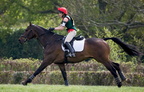 Ardingly Horses 113-18-04-2009