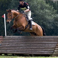 Ardingly Horses 117-18-04-2009