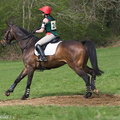 Ardingly Horses 12-18-04-2009