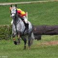 Ardingly Horses 27-18-04-2009