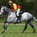 Ardingly Horses 28-18-04-2009