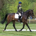 Ardingly Horses 40 18-04-2009
