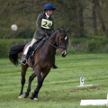 Ardingly Horses 42-18-04-2009