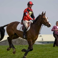 Ardingly Horses 64-18-04-2009