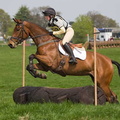 Ardingly Horses 72-18-04-2009