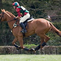 Ardingly Horses 80-18-04-2009