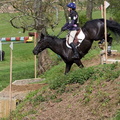 Ardingly Horses 85-18-04-2009