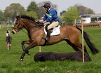 Ardingly Horses 87-18-04-2009