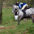 Ardingly Horses 89-18-04-2009