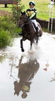 Brightling Horse Trails 27 July-2009