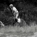 Brightling Horse Trails 66 July-2009