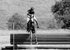 Eridge Horse Trails 04-07-2009