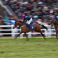 Plumpton Races 43 15-02-2010