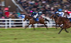 Plumpton Races 43 15-02-2010