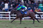 Plumpton Races 72 15-02-2010
