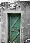 Green Door 05-04-2008