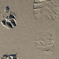 Beach Sand Brett 12-11-2008
