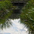 Wetlands POTN 06 23-08-2008