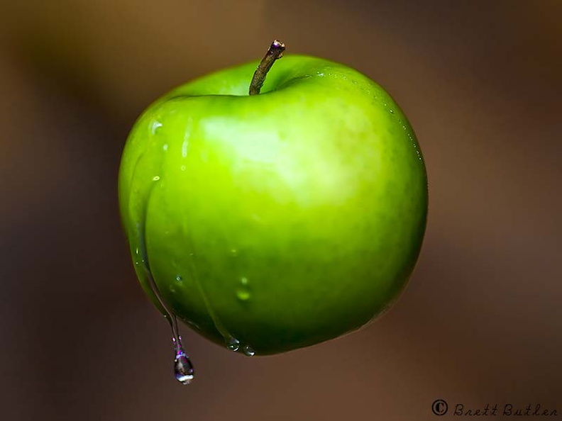 Green apple wet 22-04-20098