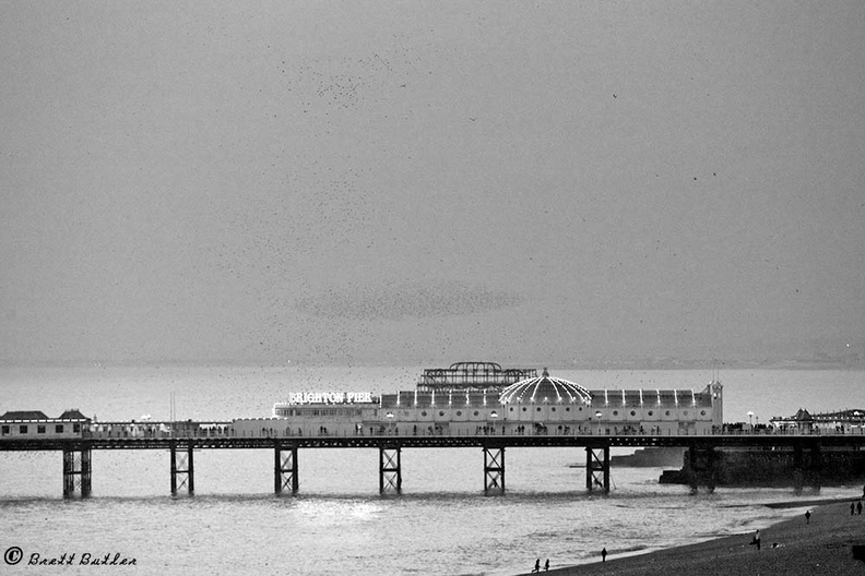 Brighton-pierBW-26-12-2007.jpg