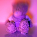 Blurred teddy