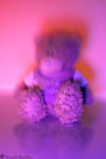 Blurred teddy