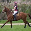 Ardlingly Horses 26 19-04-2009