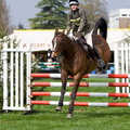 Ardlingly Horses 86-19-04-2009