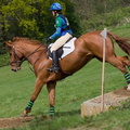 Ardingly Horses 100-18-04-2009