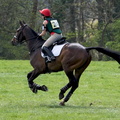 Ardingly Horses 109-18-04-2009