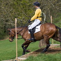 Ardingly Horses 68-18-04-2009