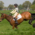 Ardingly Horses 73-18-04-2009