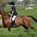 Ardingly Horses 83-18-04-2009