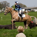 Ardingly Horses 92-18-04-2009