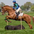 Ardingly Horses 99-18-04-2009