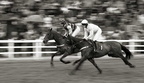 Plumton Races 040 09-05-2010
