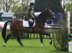Ardingly Horses 55-18-04-2009