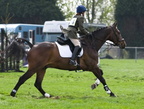 Ardingly Horses 56-18-04-2009