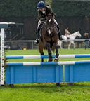 Ardingly Horses 57-18-04-2009
