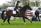 Ardingly Horses 58-18-04-2009