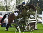 Ardingly Horses 59-18-04-2009