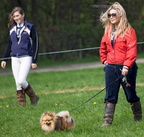 Ardingly Horses 60-18-04-2009