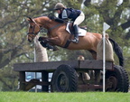 Ardingly Horses 61-18-04-2009