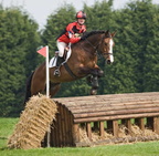 Ardingly Horses 63-18-04-2009